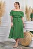 Picture of PLUS SIZE OFF THE SHOULDER CHIFFON DRESS